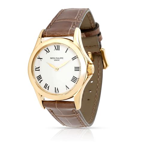 preis patek philippe|patek philippe female.